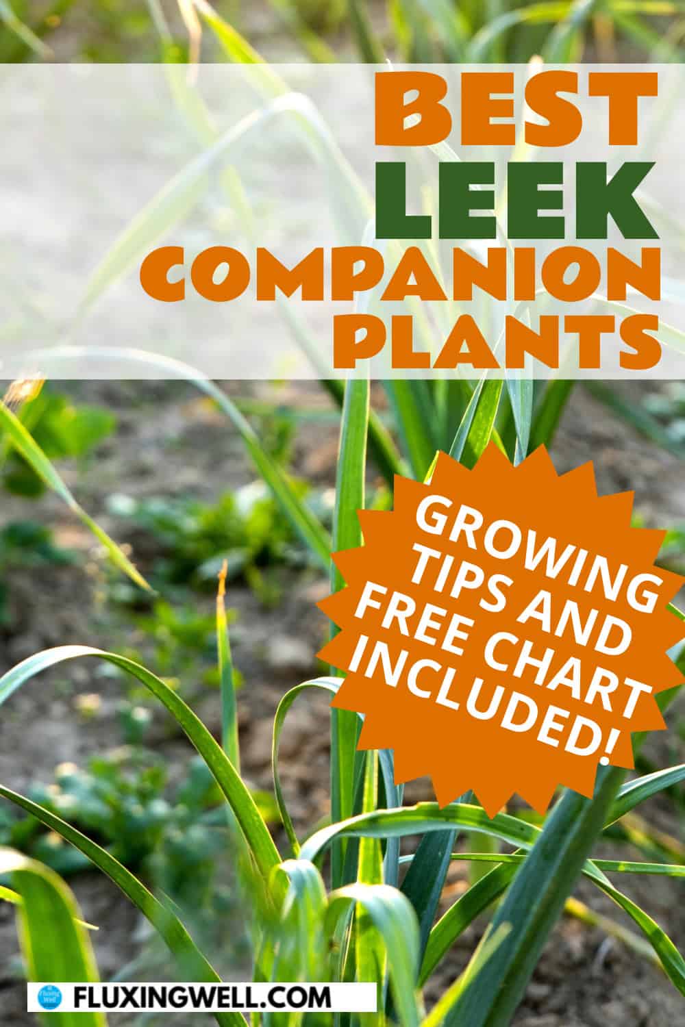 Leek companion plants free chart promo