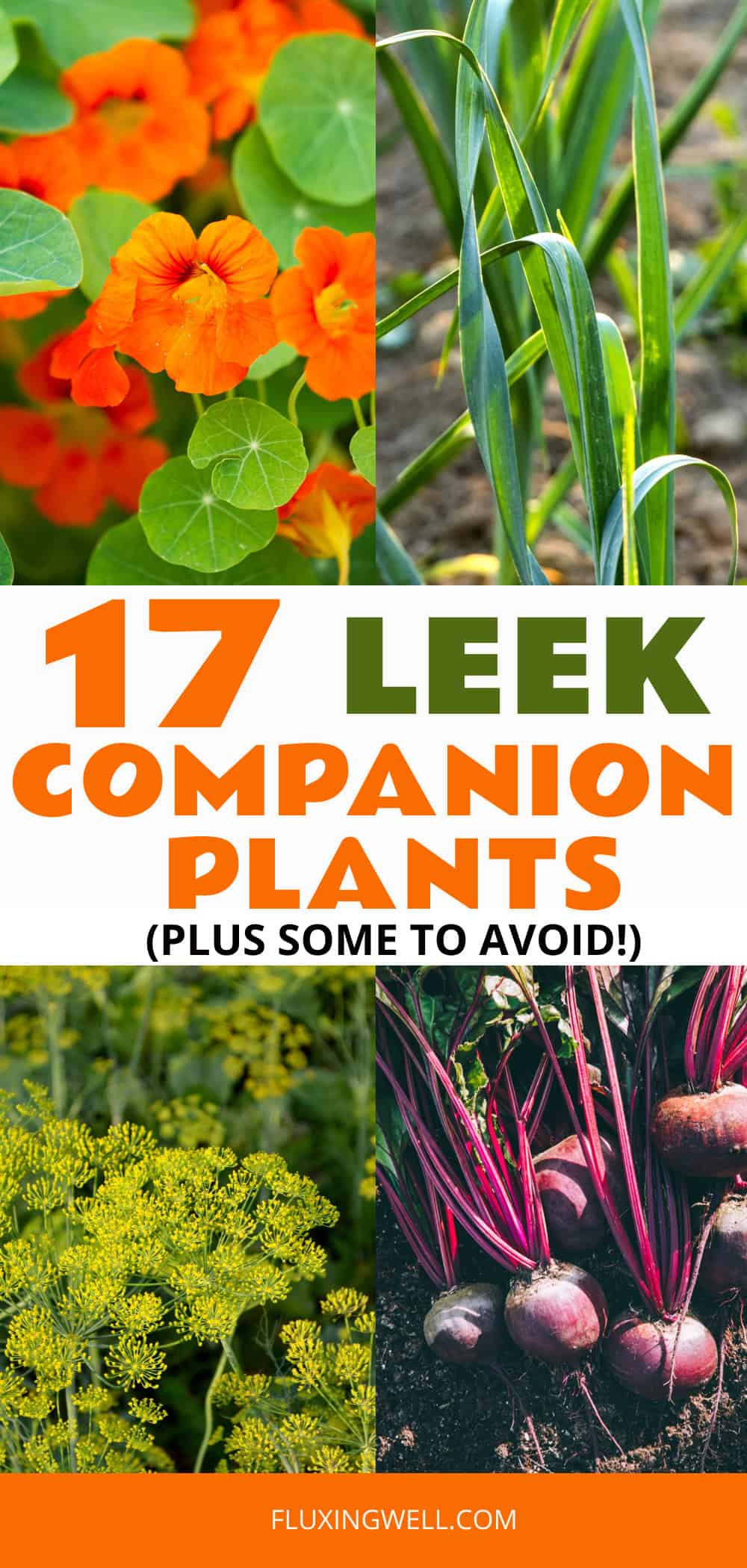 Leek companion plants collage