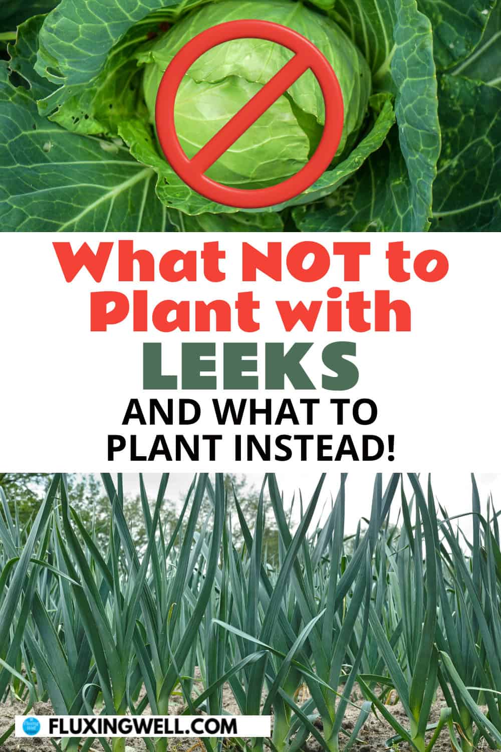 what not to plant with leeks