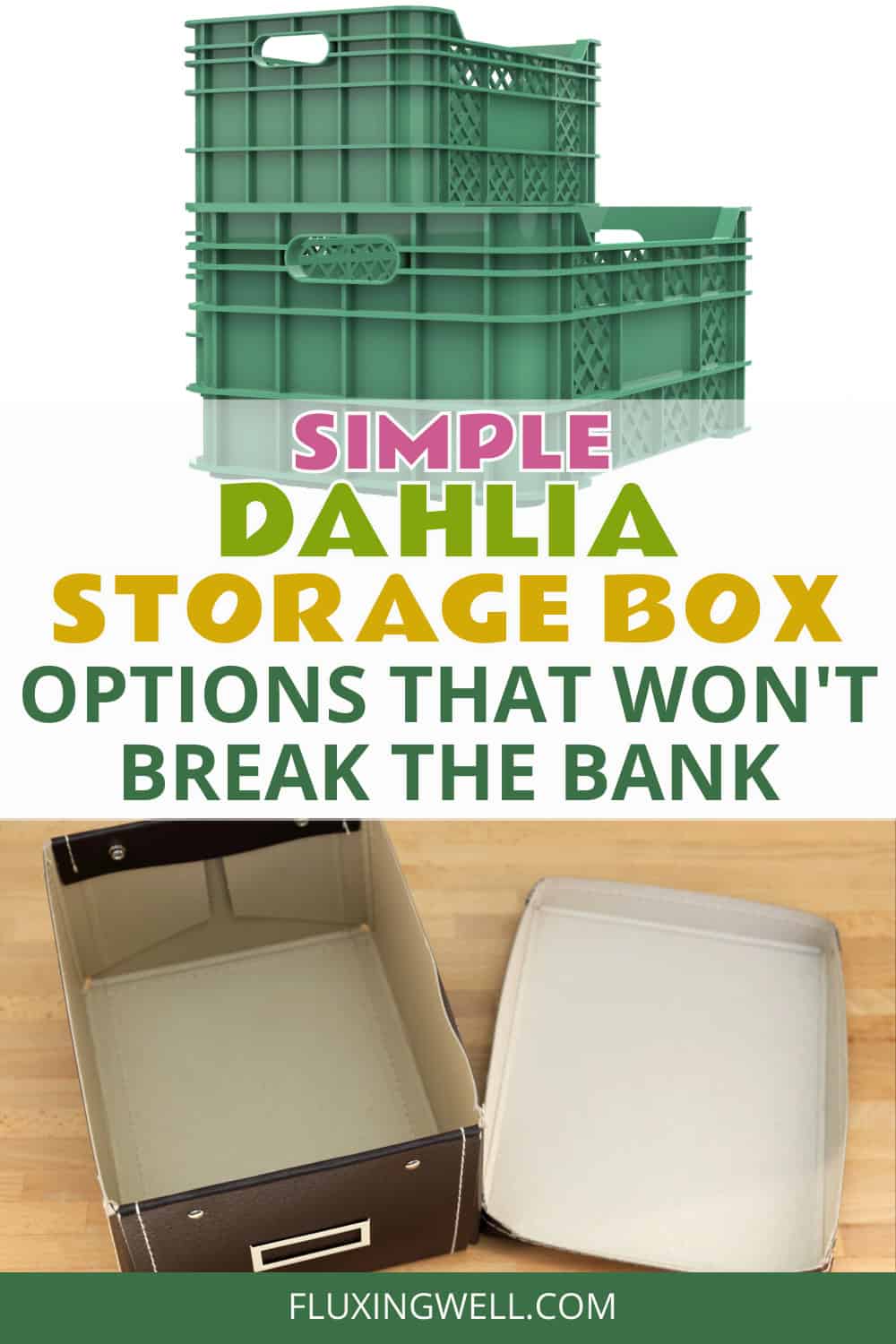 dahlia storage boxes options