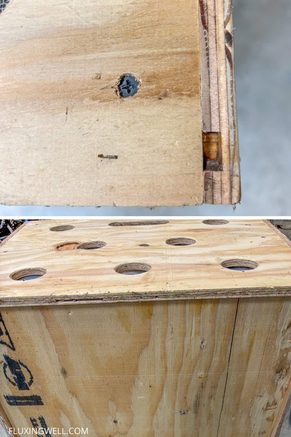 dahlia storage boxes attaching the bottom