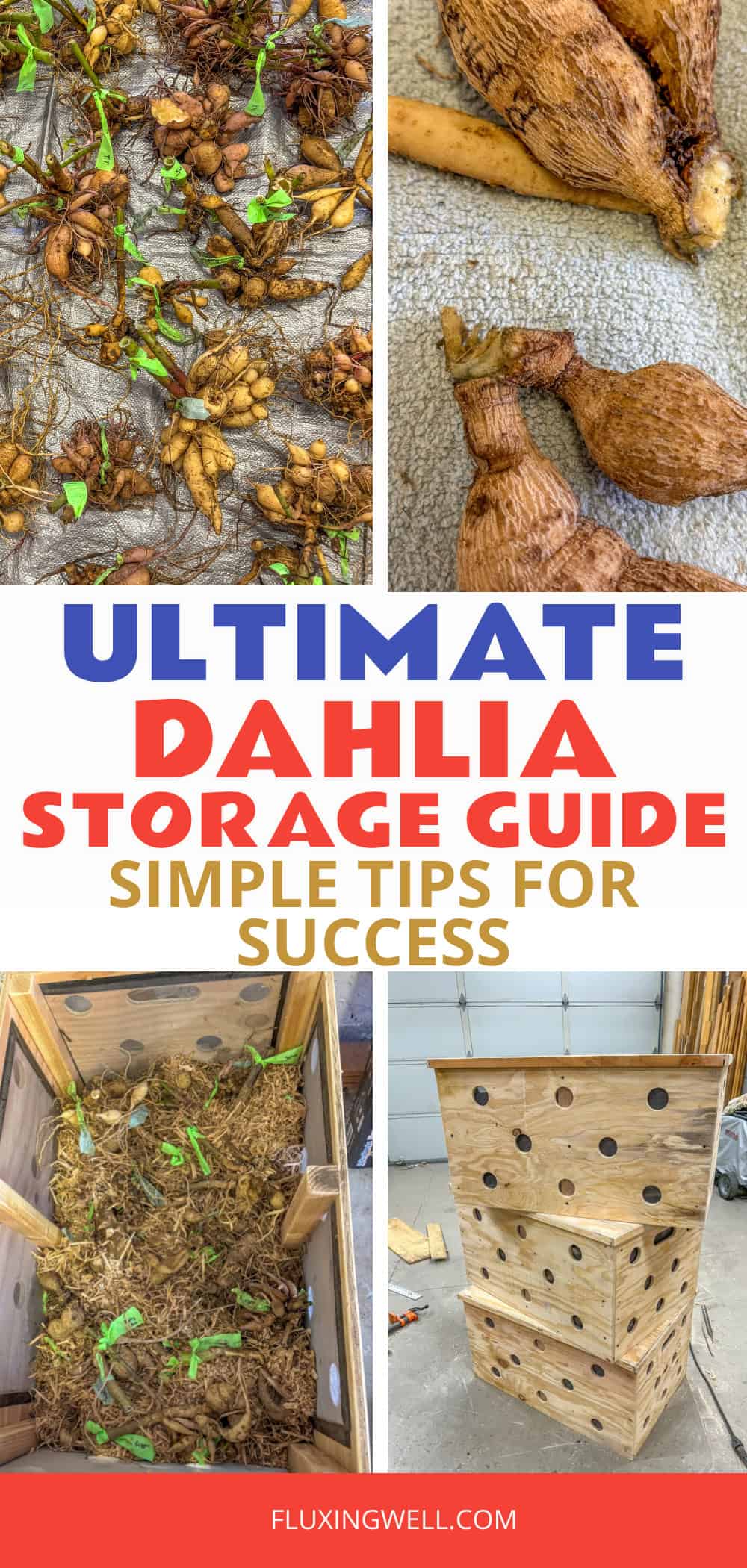 dahlia storage guide collage