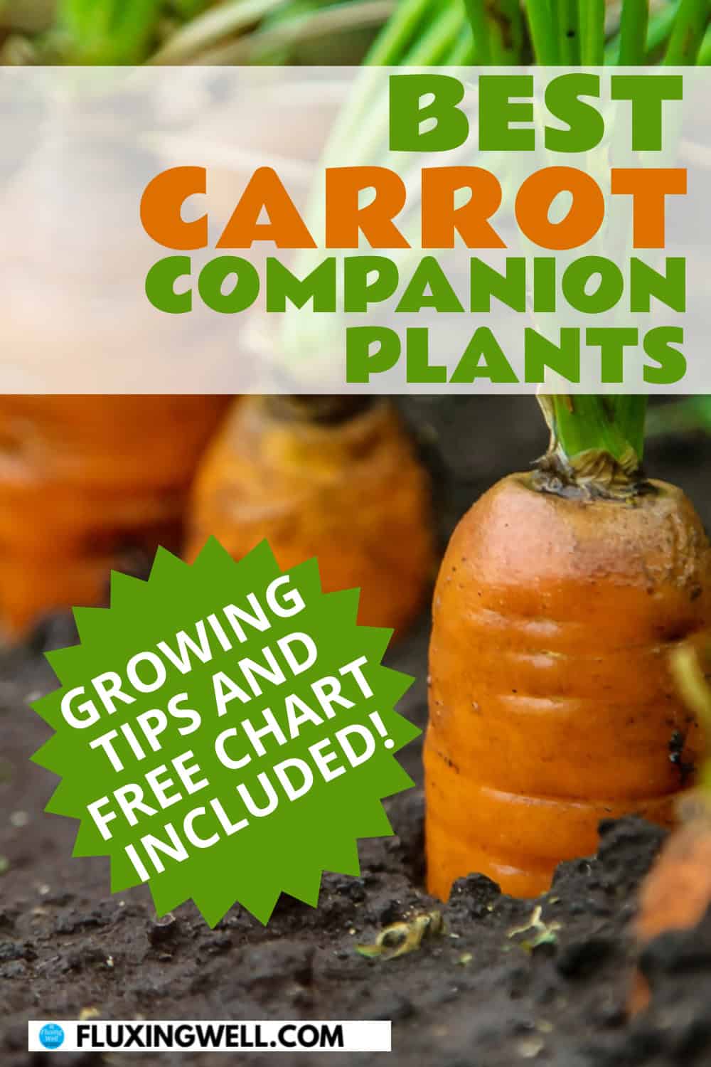 carrot companion plants with free chart