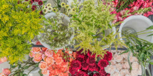 DIY flower bar blooms