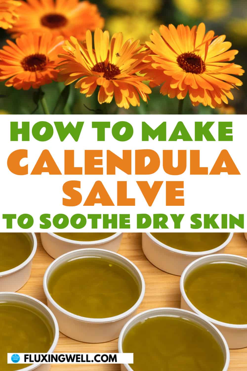 calendula companion plants calendula salve