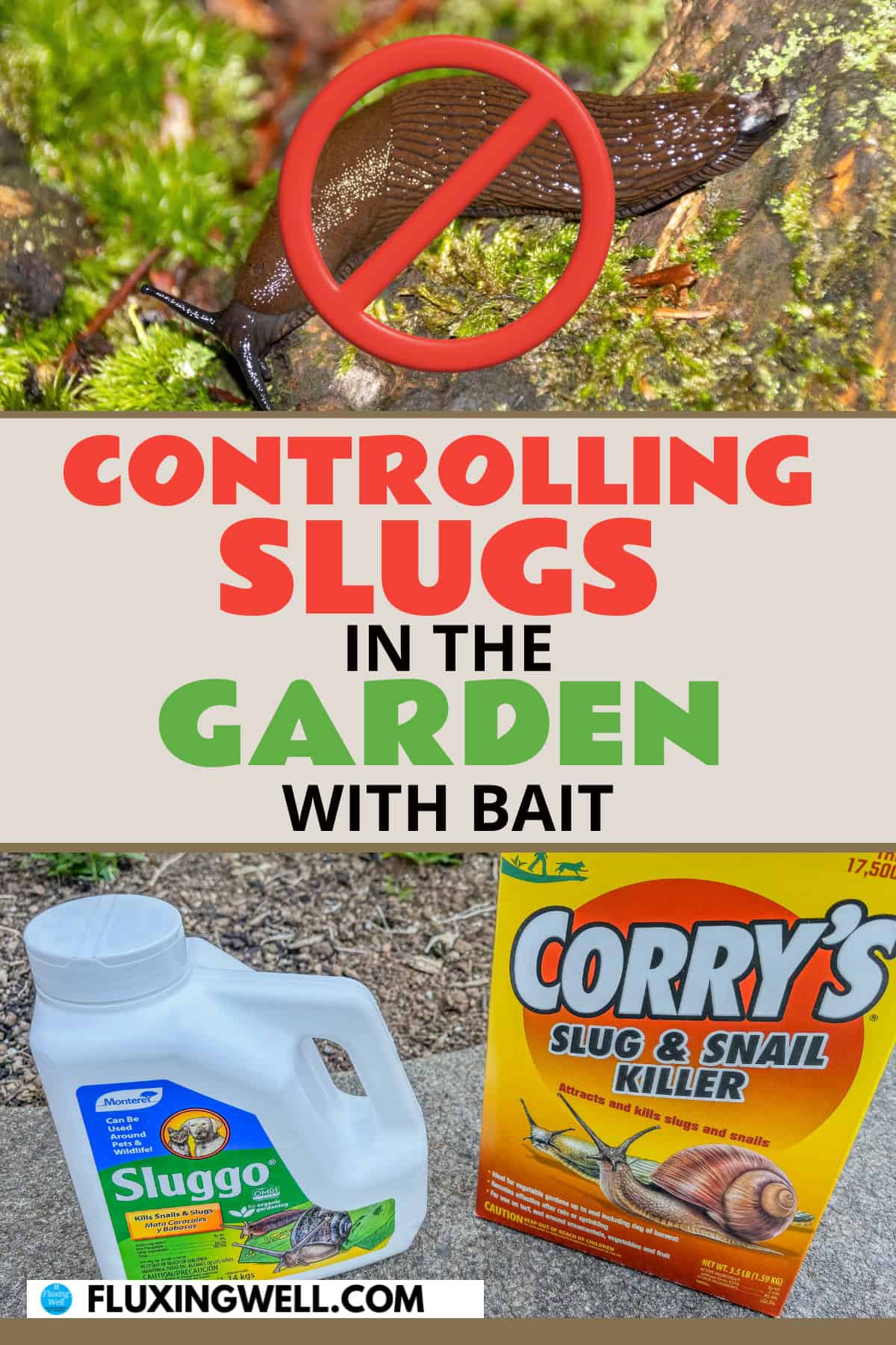 getting rid of slugs and controlling slugs