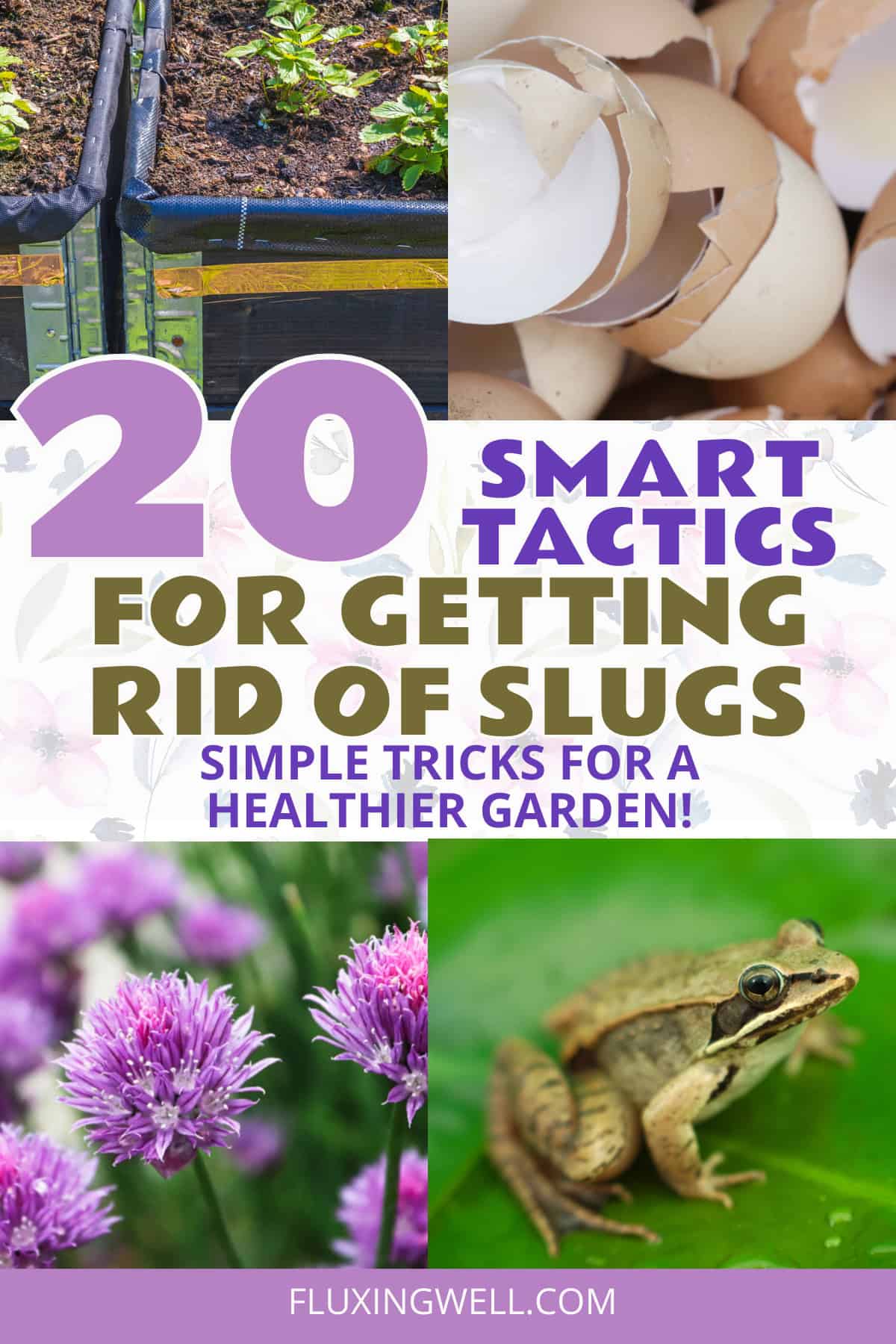 getting rid of slugs and controlling slugs