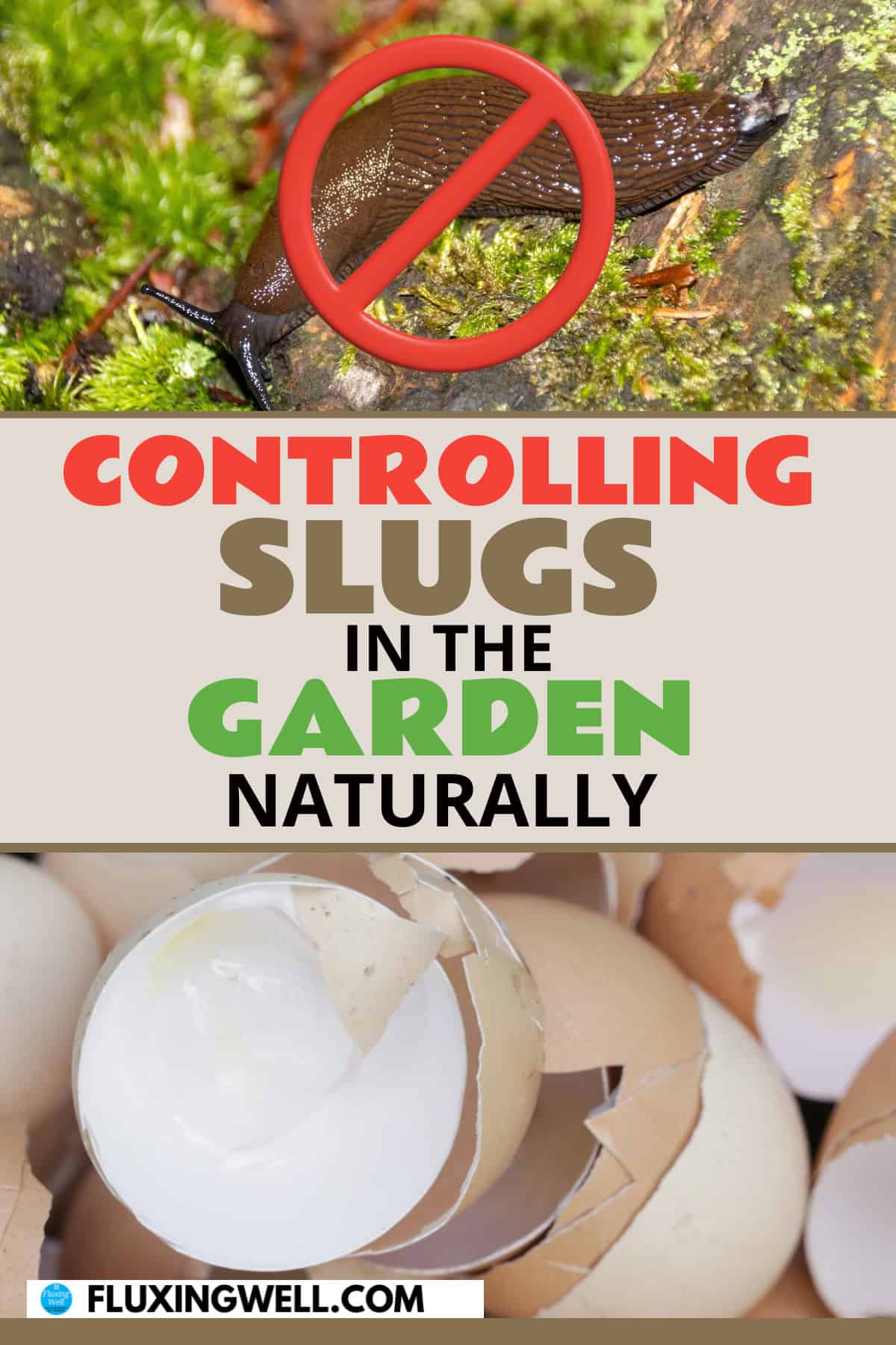 getting rid of slugs and controlling slugs