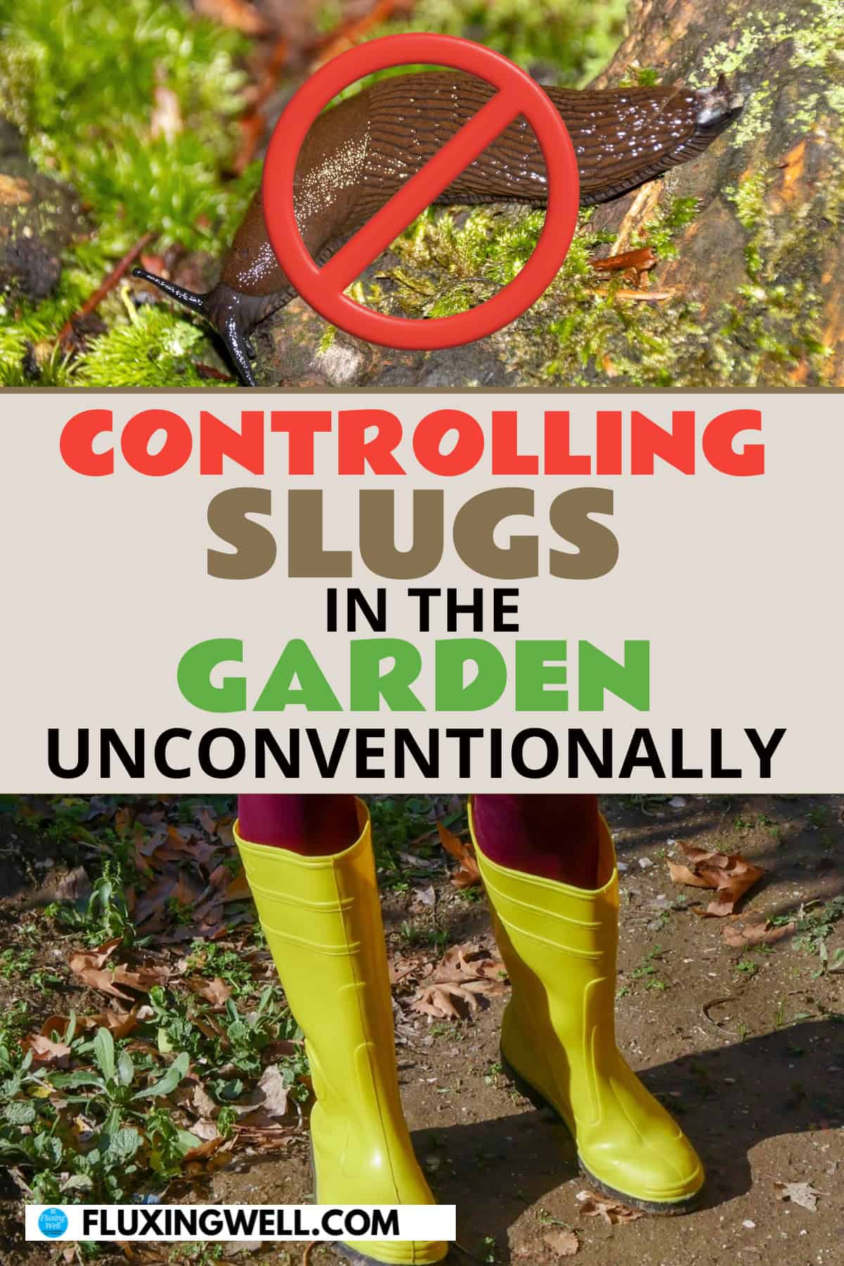 getting rid of slugs and controlling slugs