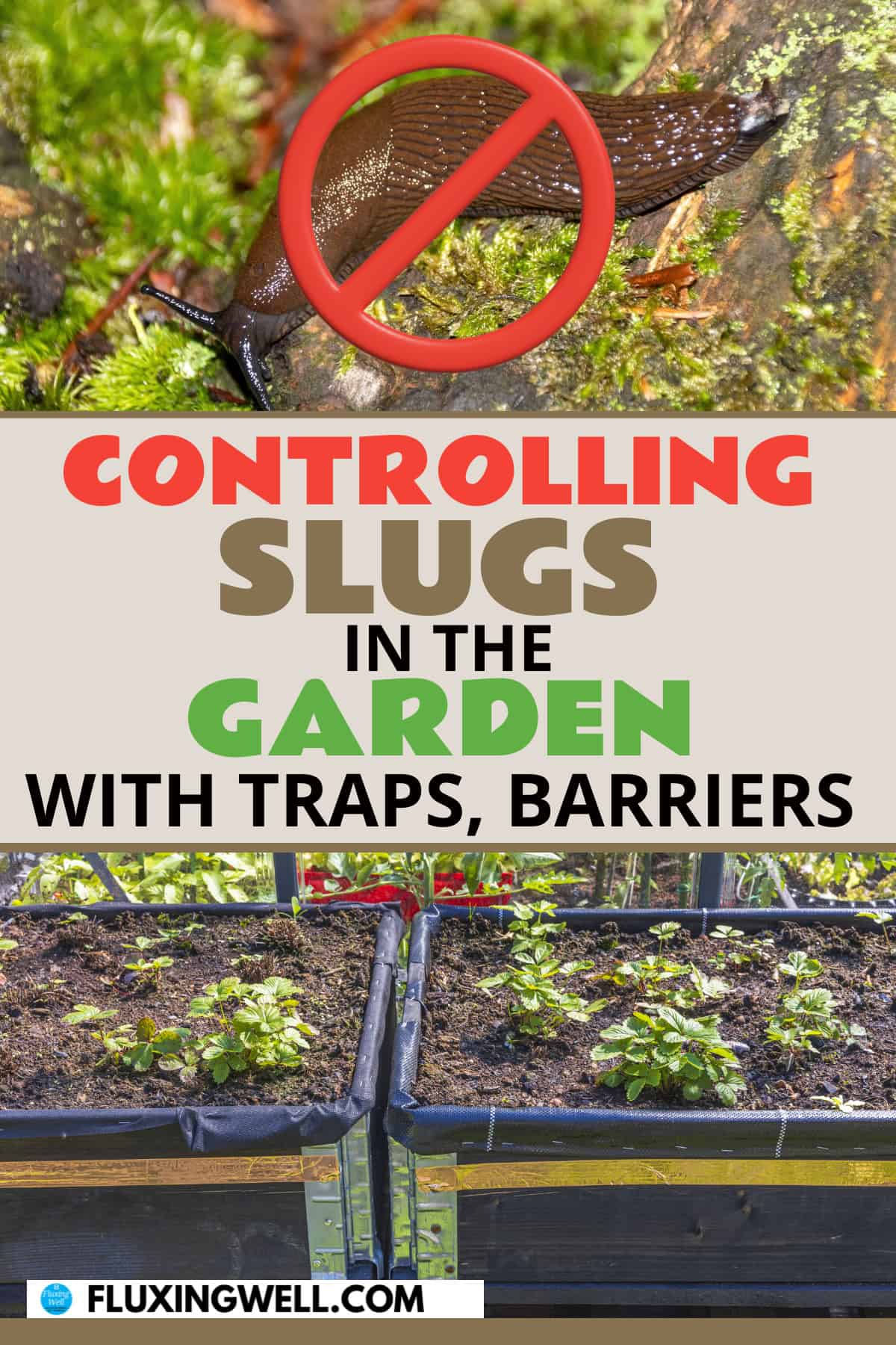 getting rid of slugs and controlling slugs