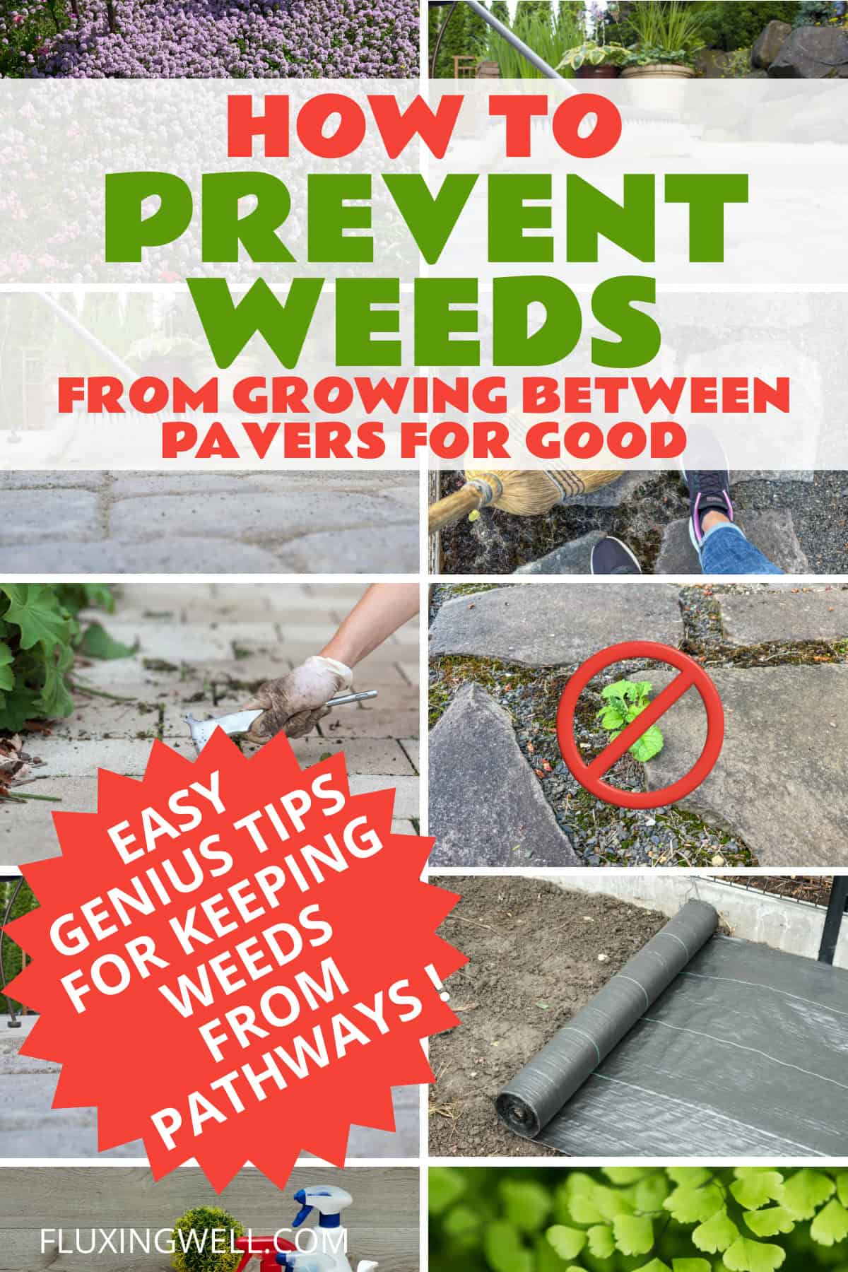 how to prevent weeds growing in between pavers with smart tips