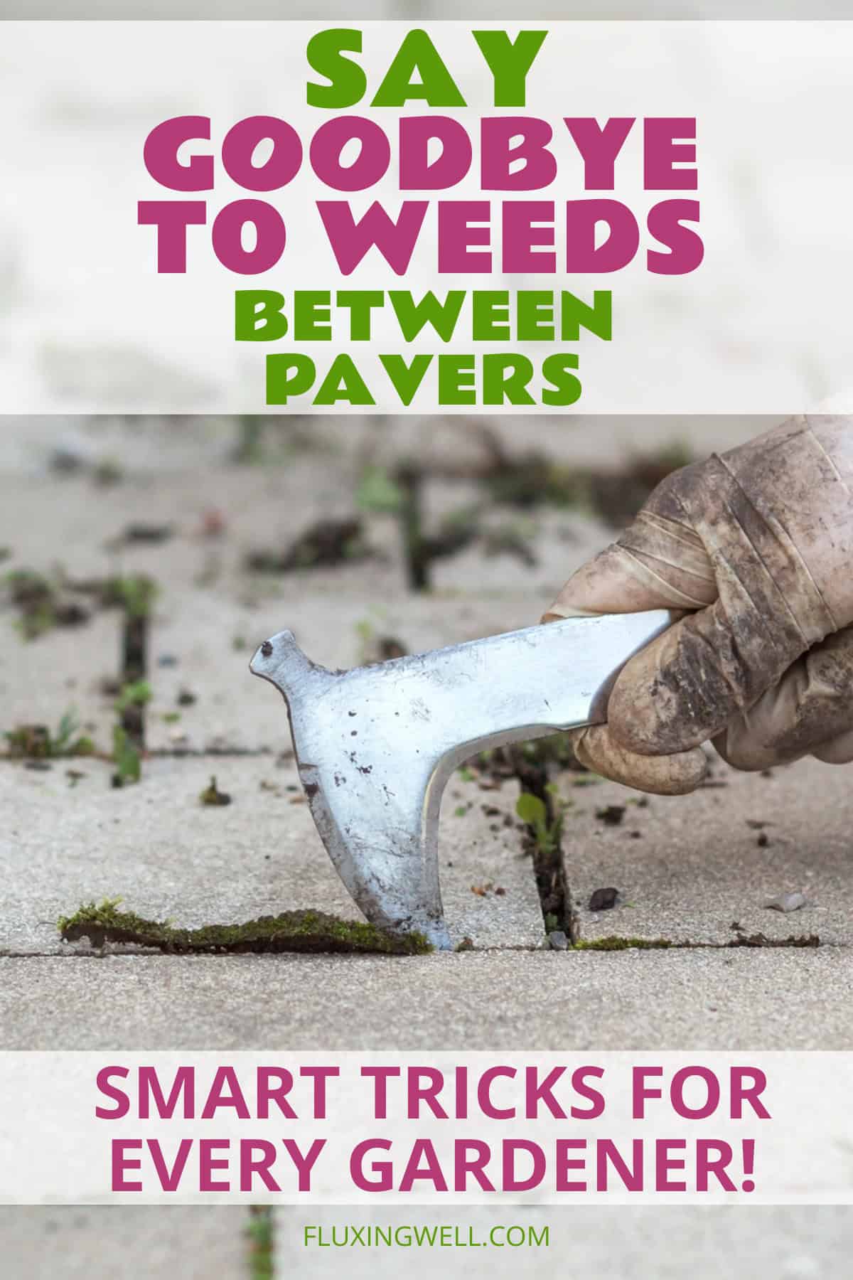 how to prevent weeds growing in between pavers with hand tools