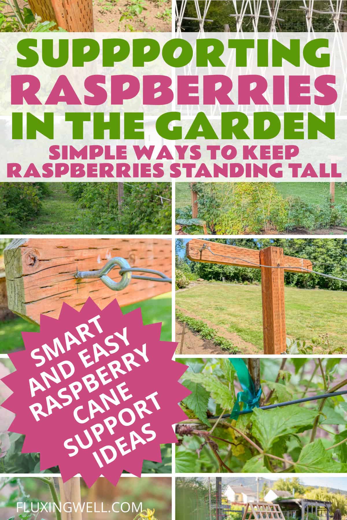 ideas for supporting raspberries collage