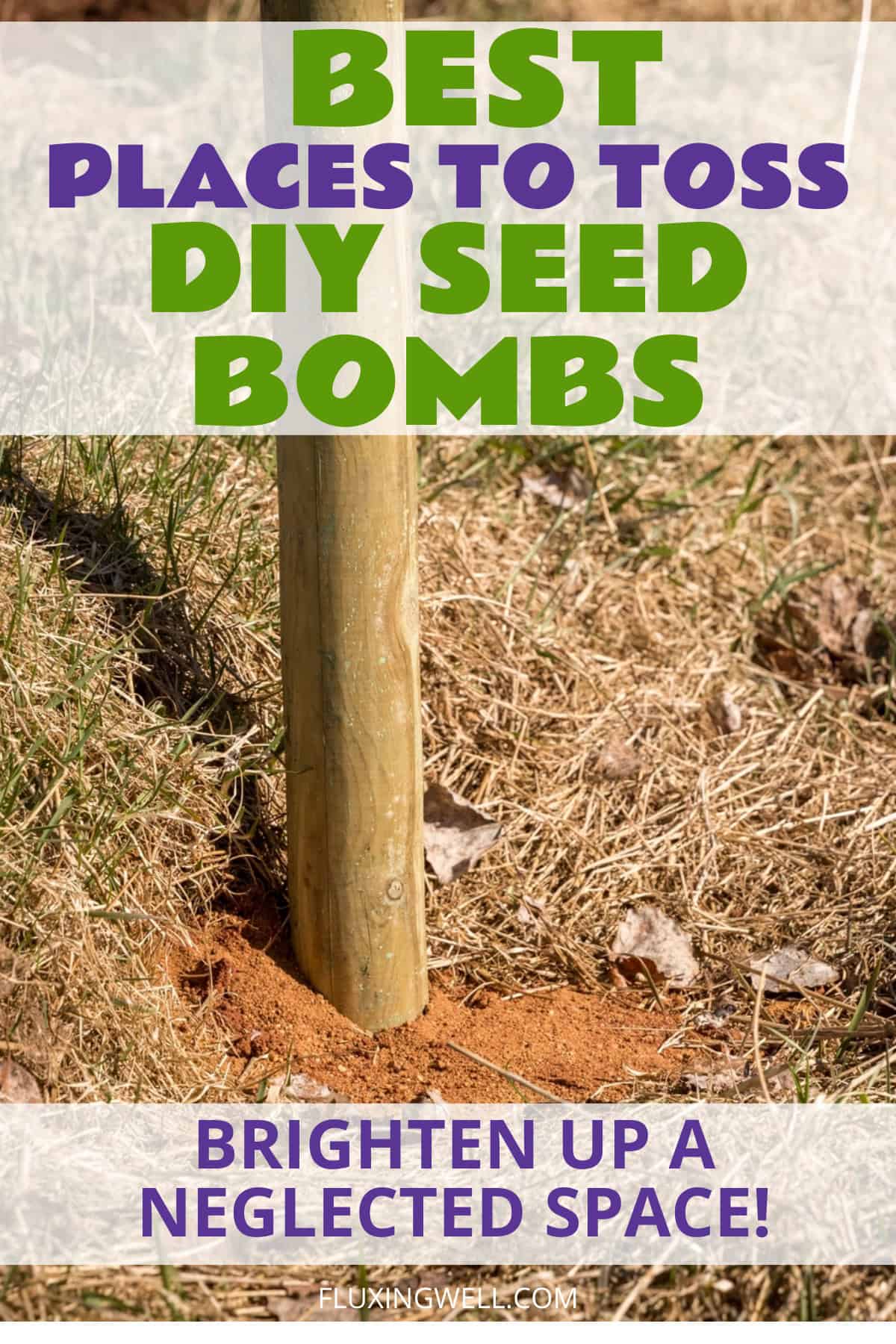 How to make DIY seed bombs best places to toss