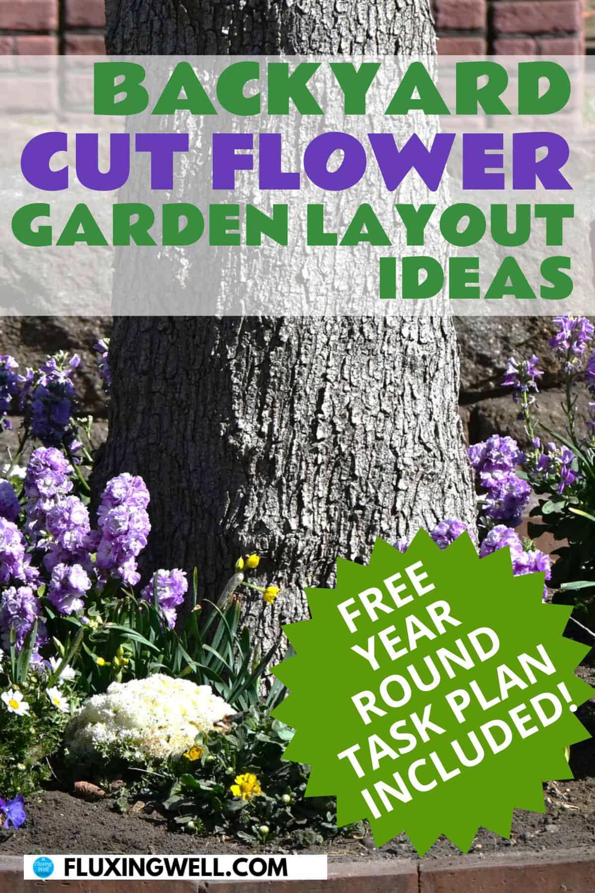 How to design a cut flower garden layout