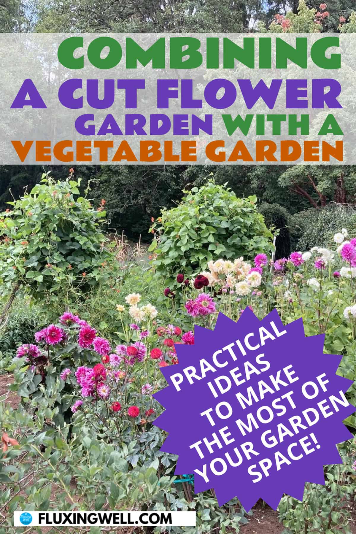 How to design a cut flower garden layout