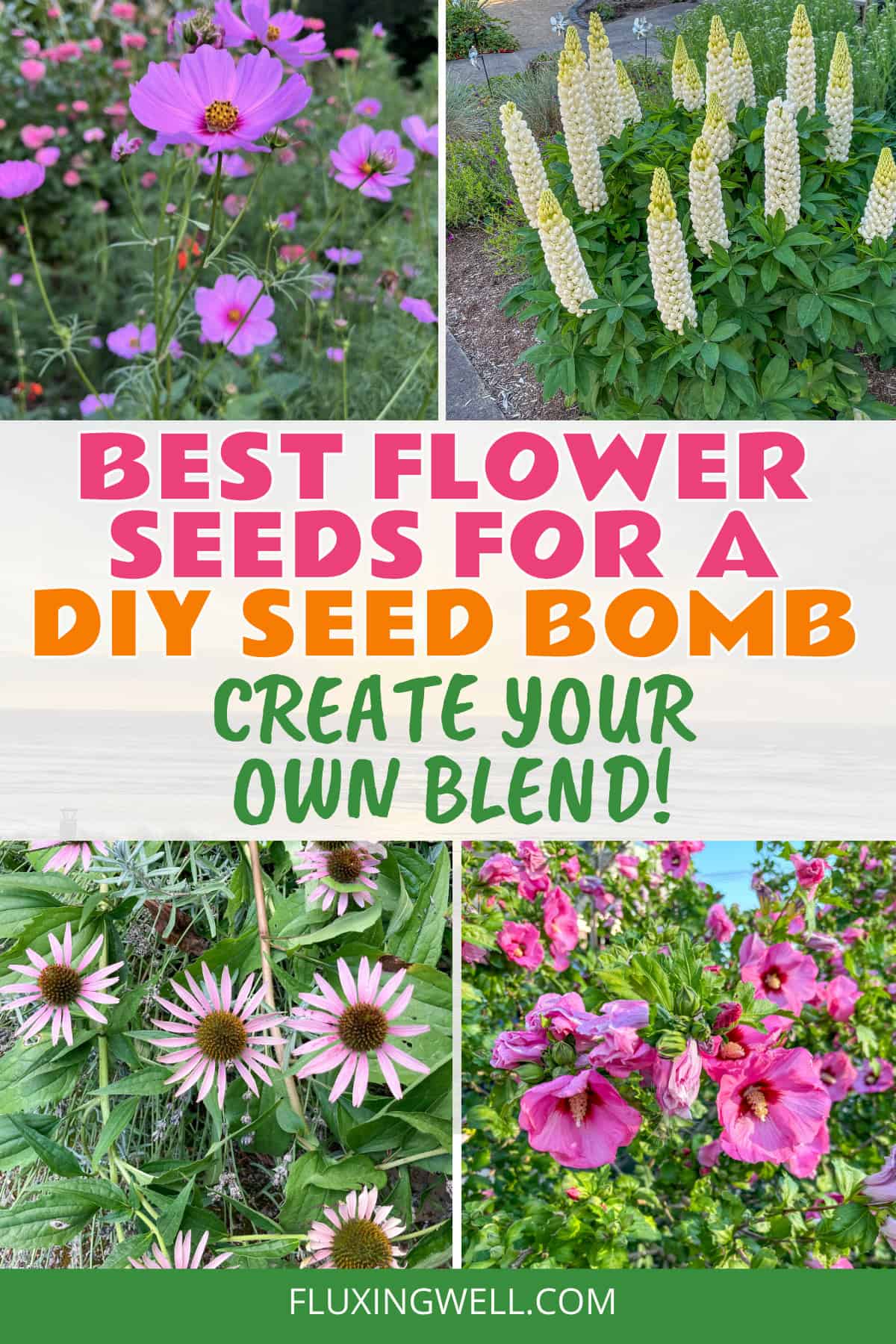 How to make DIY seed bombs create your own flower blend