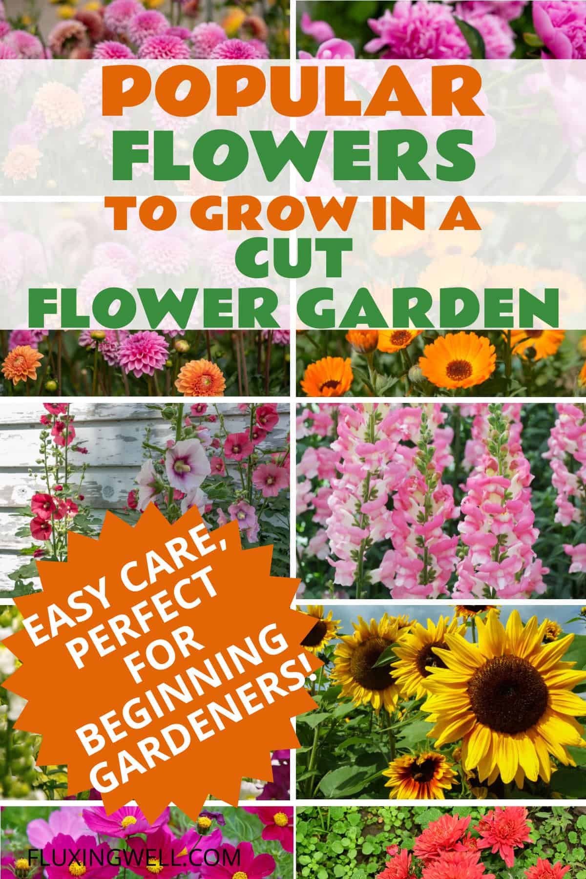 How to design a cut flower garden layout