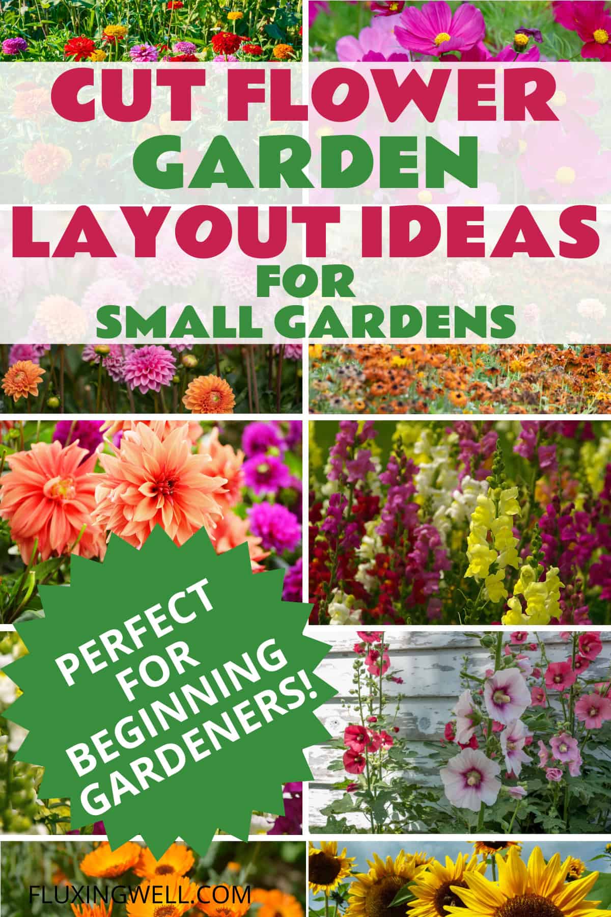 cut flower garden layout ideas