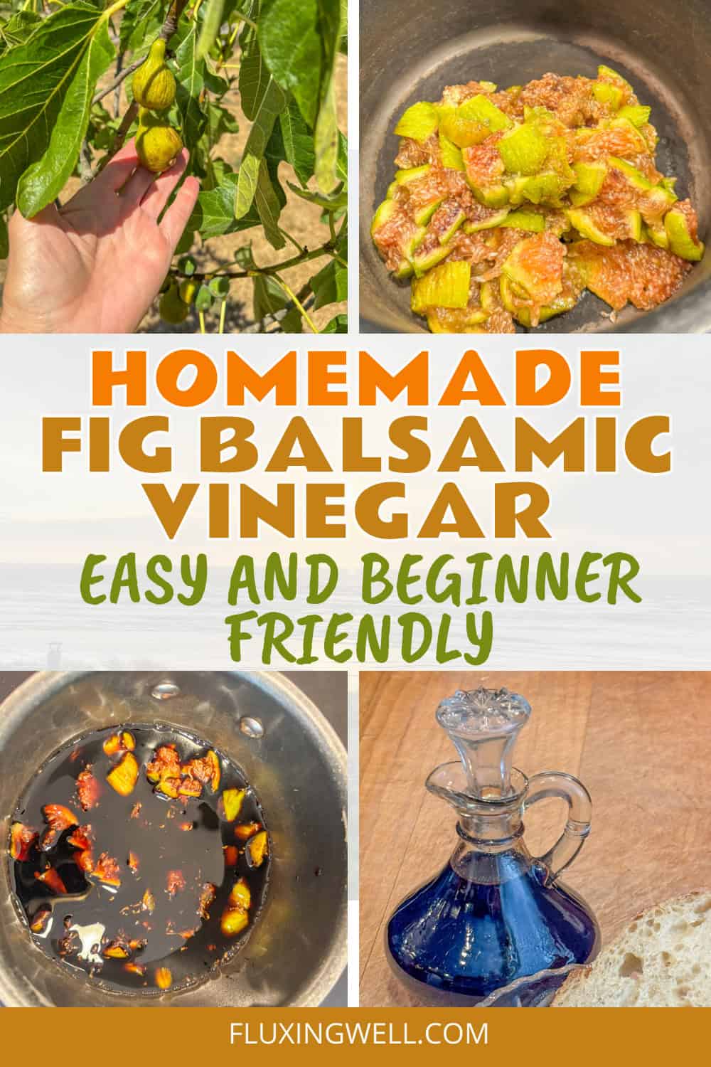 fig balsamic vinegar