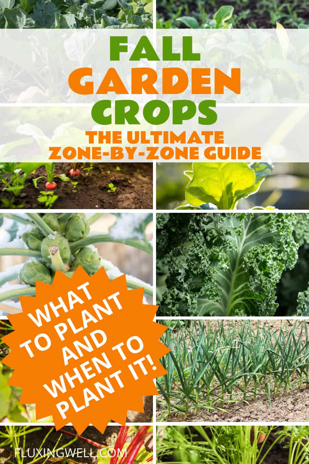 Fall garden crops to grow