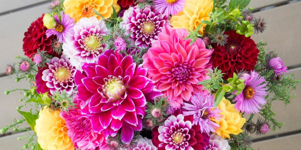 dahlia bouquet ideas