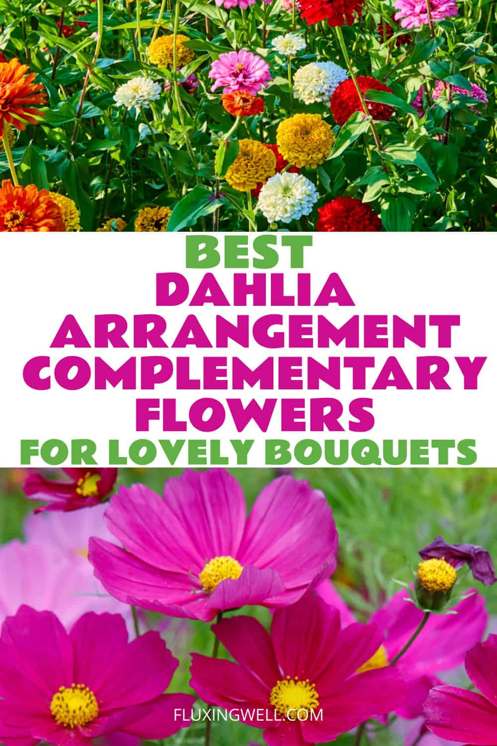 dahlia bouquet ideas complimentary flowers