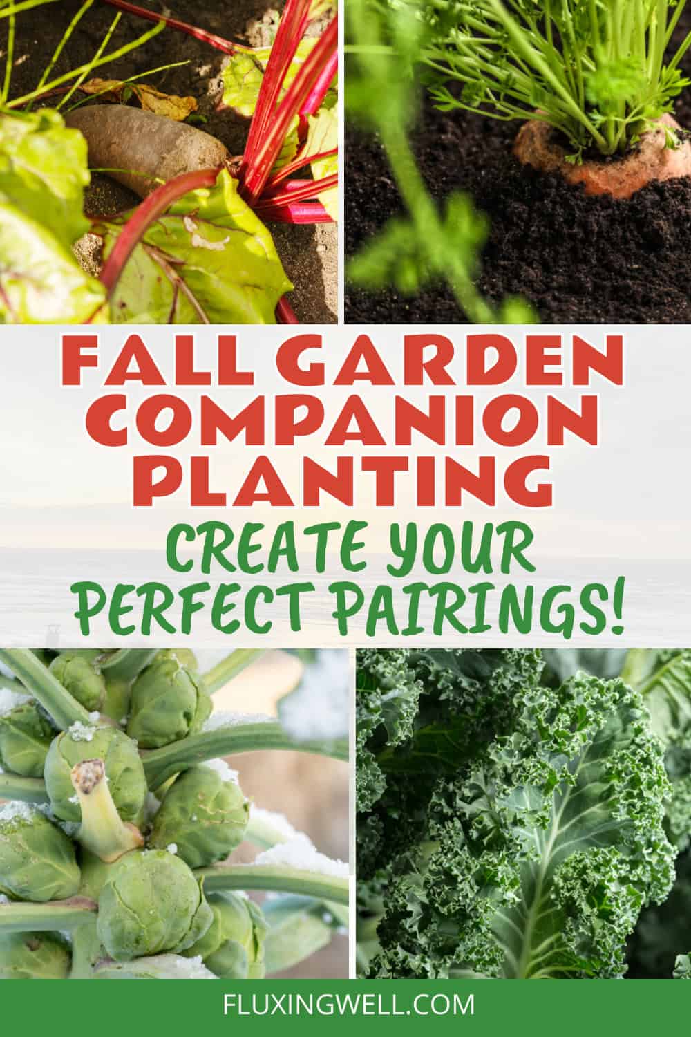 fall garden companion planting for fall crops