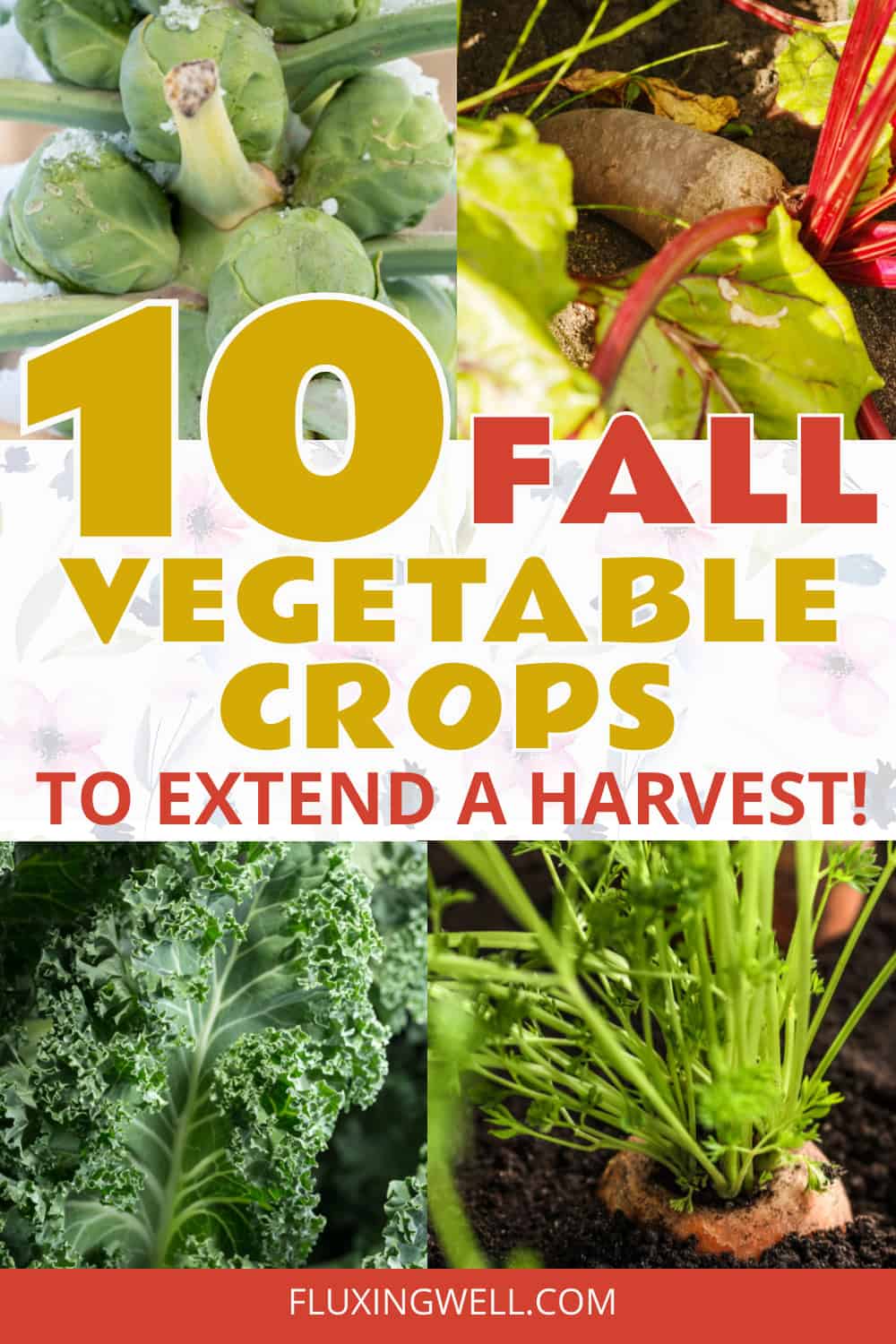 10 fall vegetable crops