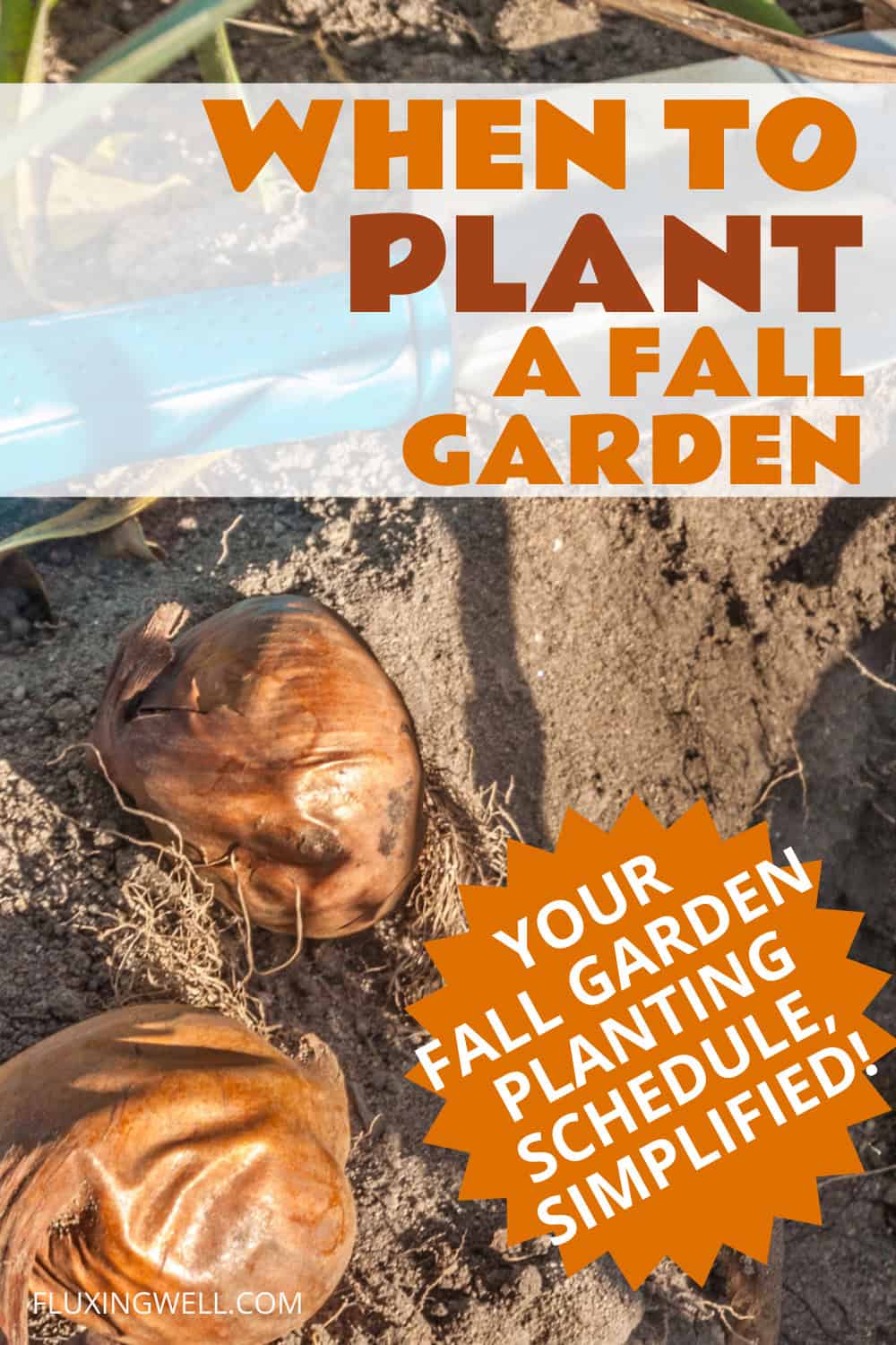 fall vegetable garden crops