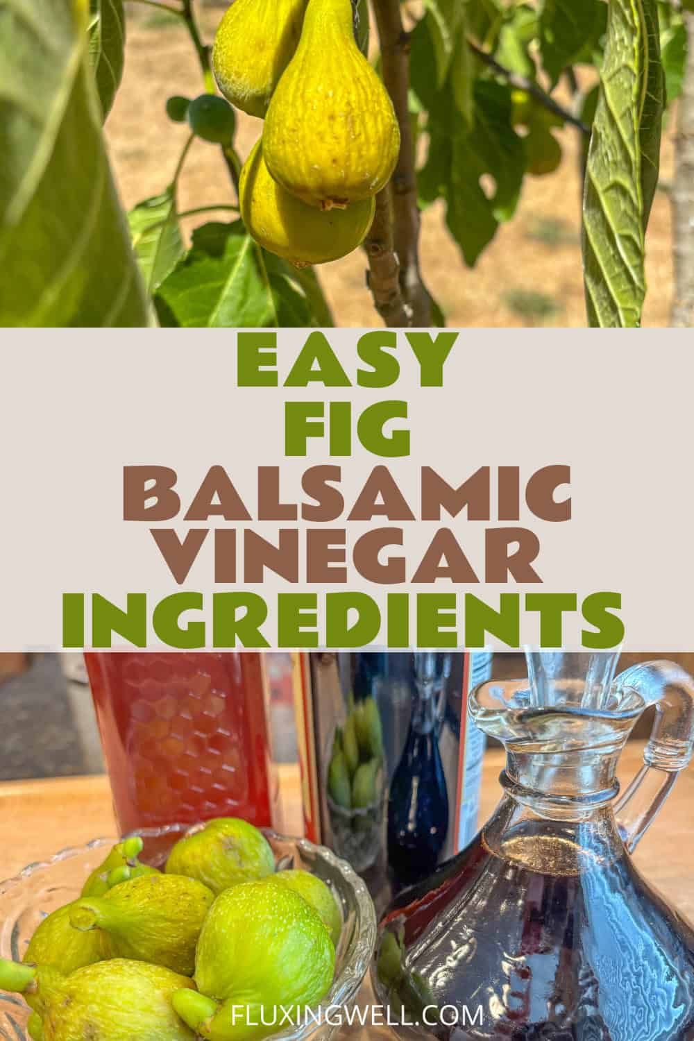 fig balsamic vinegar