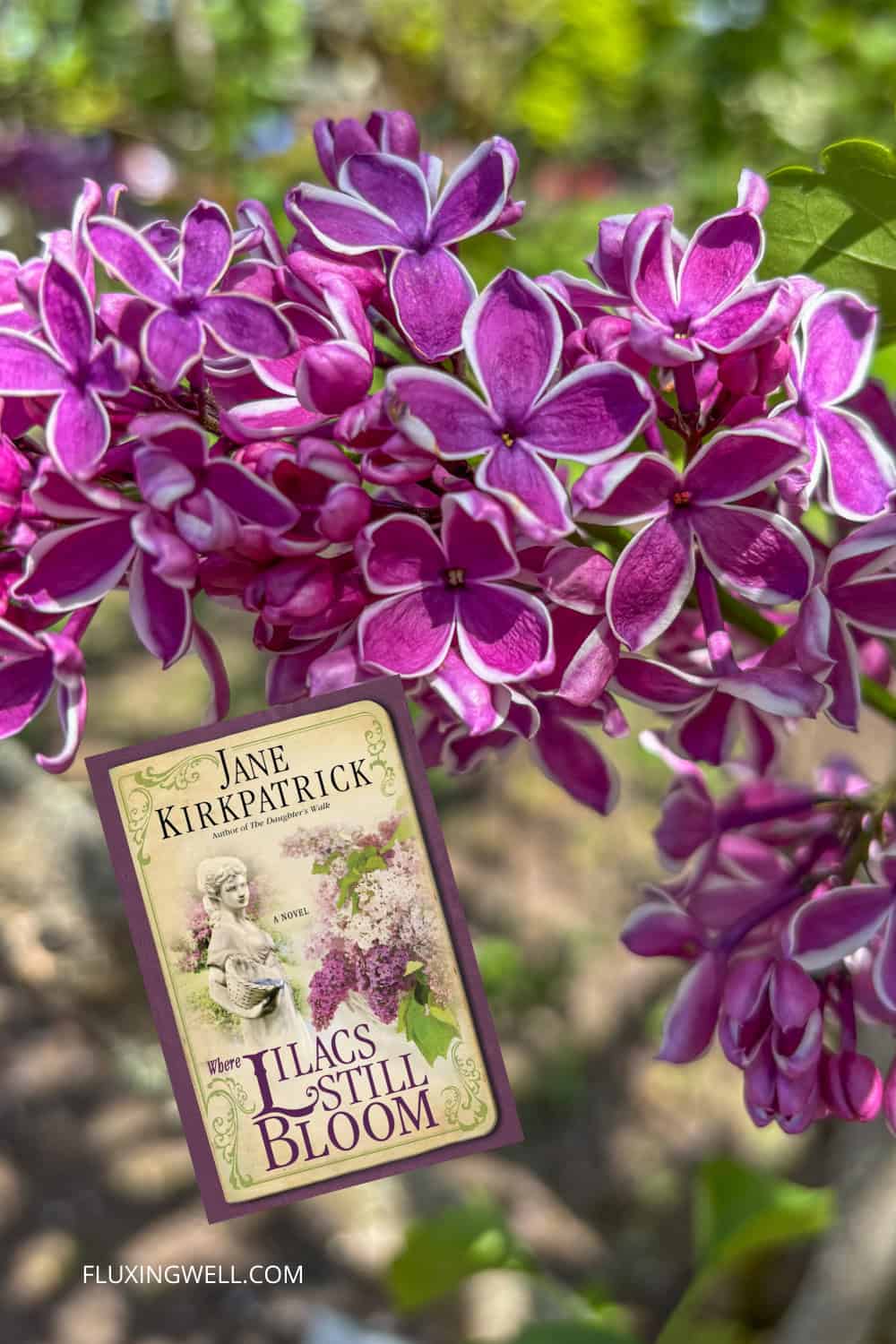 Hulda Klager Lilac garden lilac companion plants