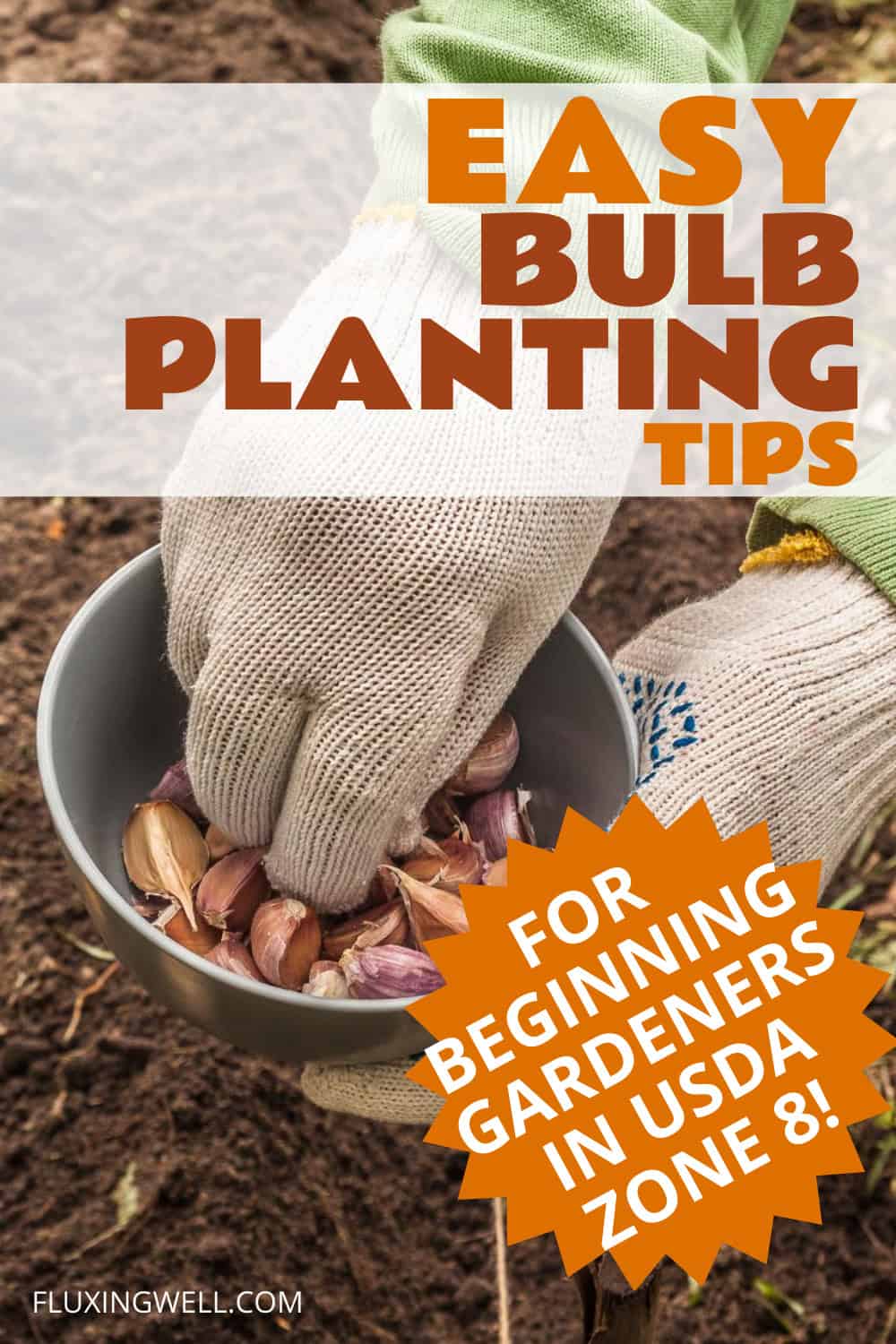 best bulbs to plant in Fall for Zone 8