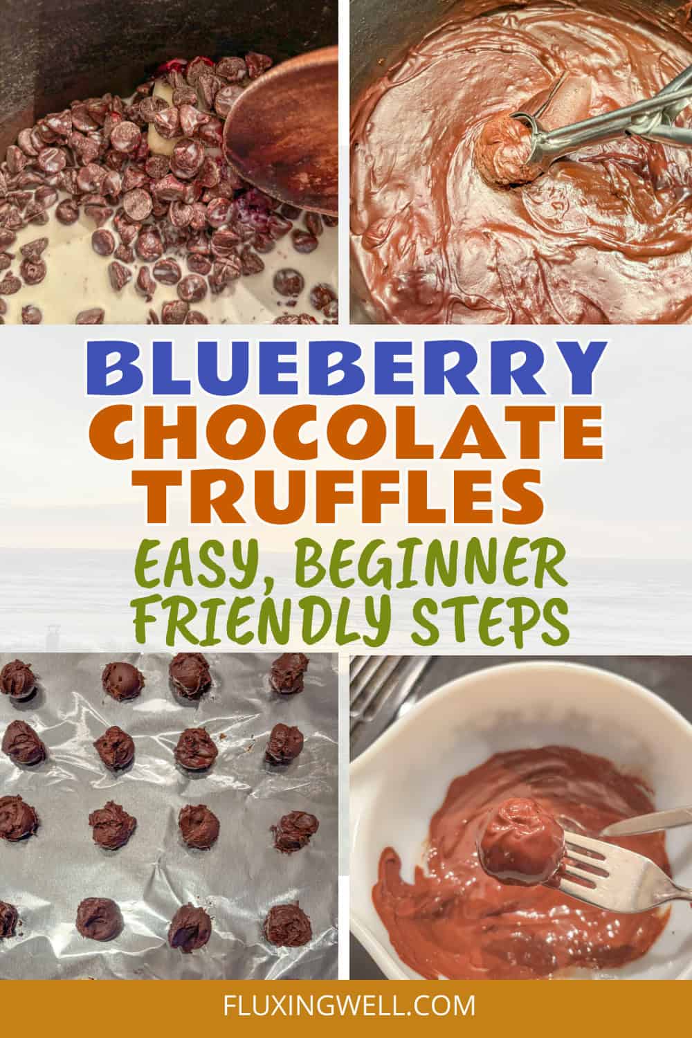 Blueberry Chocolate Truffles