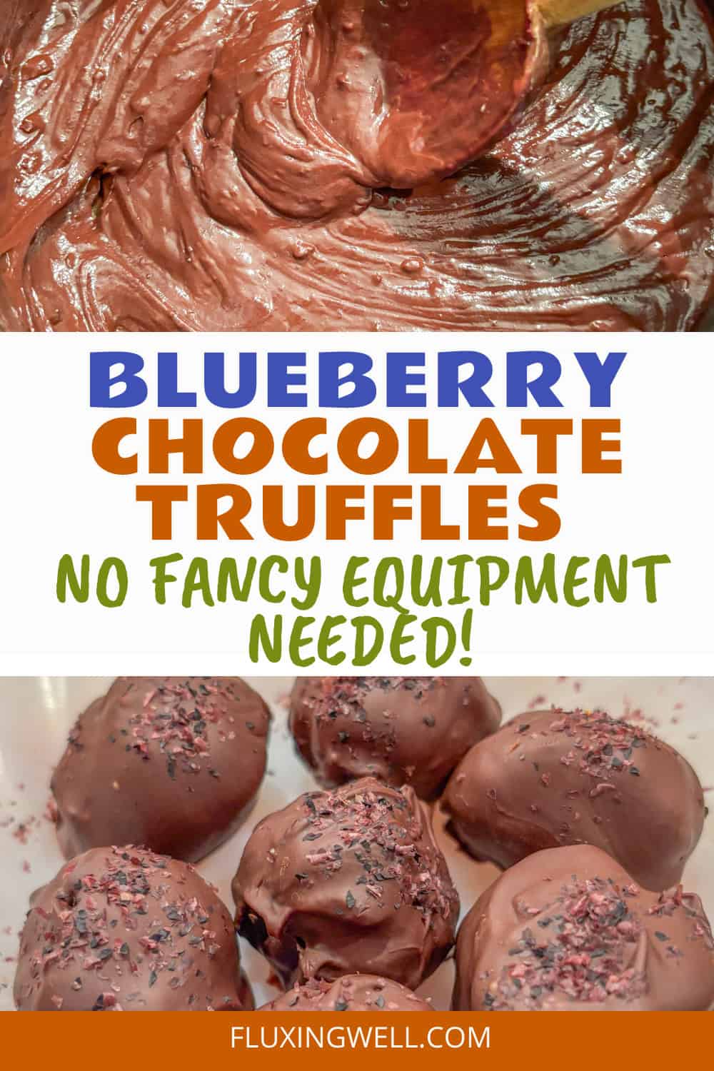 Blueberry Chocolate Truffles
