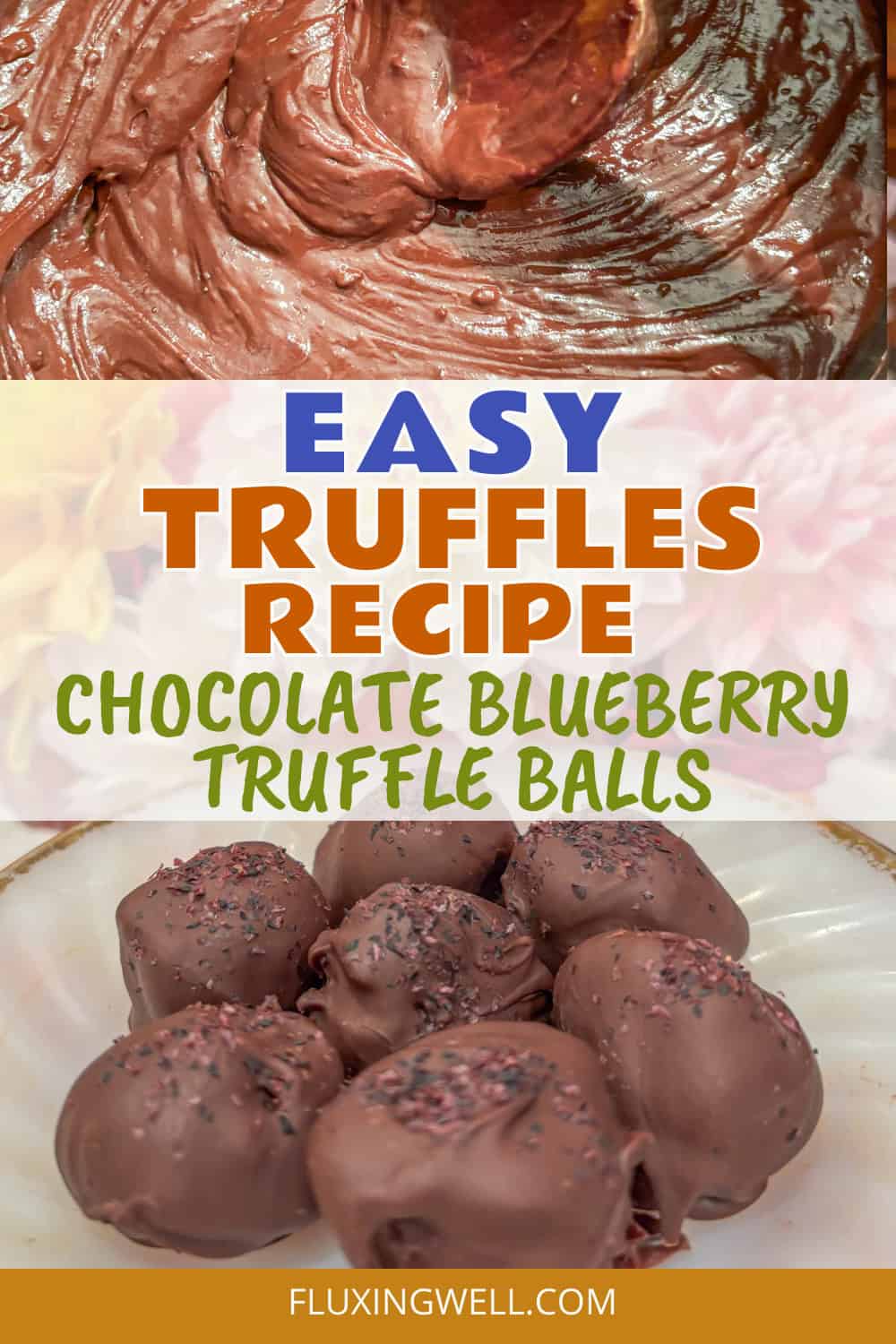 Blueberry Chocolate Truffles