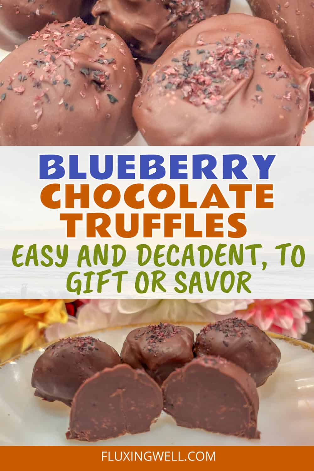 Blueberry Chocolate Truffles